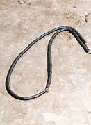 传奇私服npc对话素材在哪