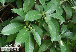 1.80麒麟传奇私服