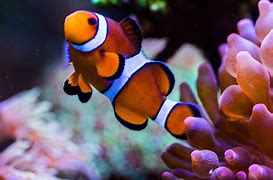 当年被大部分法师所忽视的诱惑之光 你不知道的隐藏技能