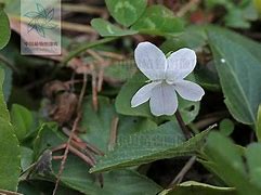 传奇私服建立人物后点确定进入游戏 进入人物界面后 点确定就进不去了【真原始传奇