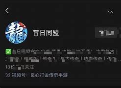 传奇非官服版本众多 官服是如何看一个传奇私服是什么版本不是更适合养老