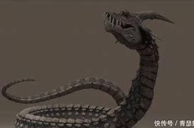 传奇中为数不多的特殊装备