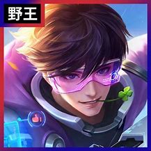 带刺客职业的传奇私服