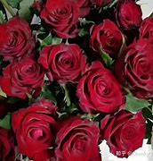 最详细的传奇3 私服gm命令