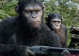 现在还有比较良心的传奇私服吗？