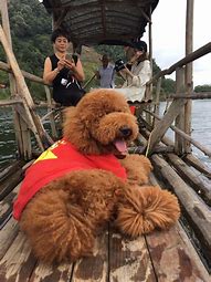 我每次打开的传奇私服发布网都是一样的怎么  爱问知识人