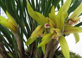 请问有人知道哪里有比较好玩的传奇世界私服吗 谢谢推荐一下