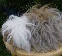 我的系统是win7旗舰版的现在玩传奇私服游戏的时候可以正常打开登录器但进入游戏页面输入账号的时候就会显示无法连接服务器 一进入游戏就会显示没法连接