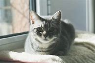 如何把别人传奇私服自己怎么做gm的传奇sf版本拿来给自己做gm？