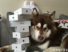 独家皓月1 95金牛版