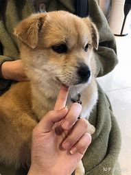 现在大家都在哪里找传奇私服玩 在哪里找